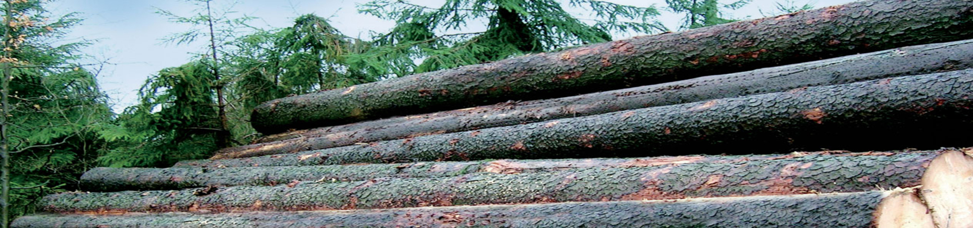 融匯全球資源<br>以綜合服務(wù)成就專業(yè)價(jià)值